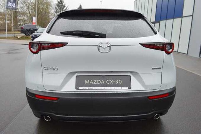 Mazda CX-30 2.5 e-SKYACTIV-G M-Hybrid Homura *LED+CAM+ACC* 