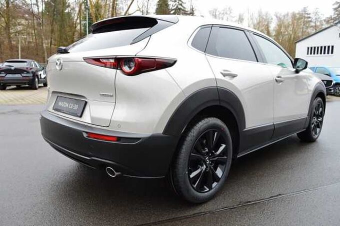 Mazda CX-30 2.5 e-SKYACTIV-G M-Hybrid Drive Nagisa *Leder+LED*