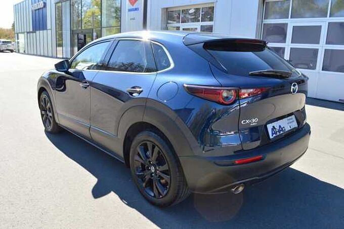 Mazda CX-30 2.0 e-SKYACTIV-G M-Hybrid Drive AWD Homura *LED+Cam+SH* 