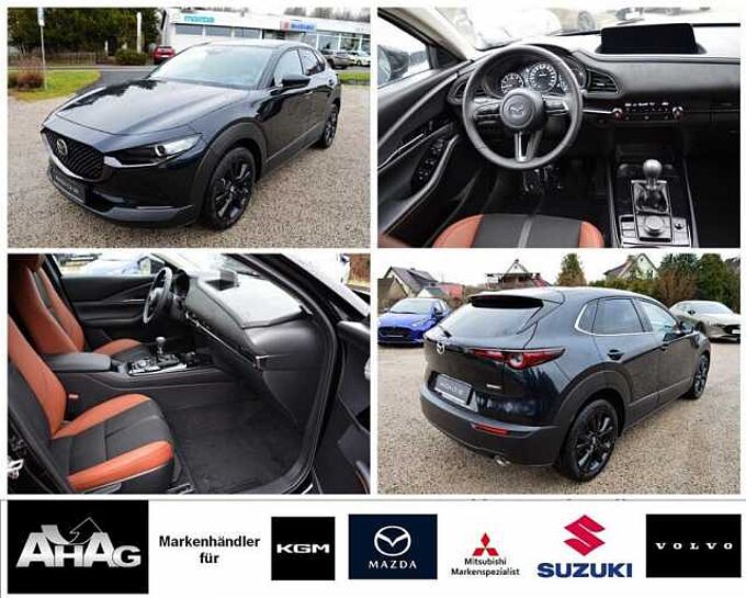 Mazda CX-30 2.0 e-SKYACTIV-X M-Hybrid AWD Nagisa *Voll* 