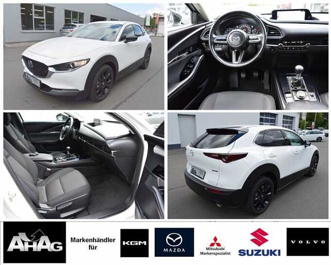 Mazda CX-30 2.0 e-SKYACTIV-X M-Hybrid AWD Homura *BOSE+360+LED* 