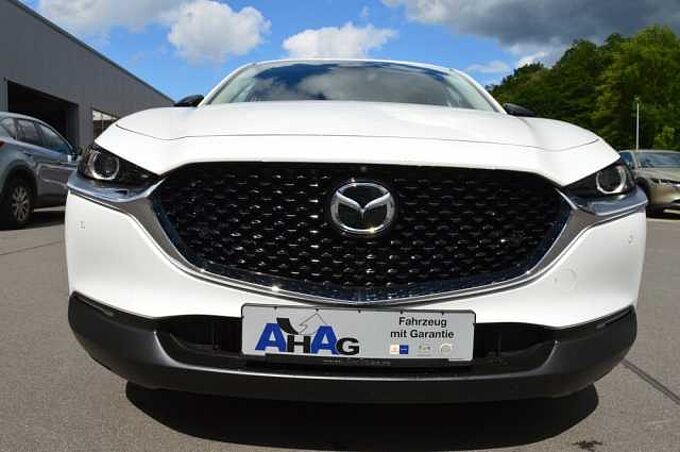 Mazda CX-30 2.0 e-SKYACTIV-X M-Hybrid AWD Homura *BOSE+360+LED* 