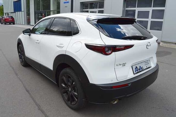 Mazda CX-30 2.0 e-SKYACTIV-X M-Hybrid AWD Homura *BOSE+360+LED* 