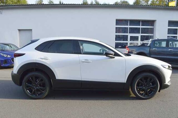 Mazda CX-30 2.5 e-SKYACTIV-G M-Hybrid Makoto *BOSE+LED*