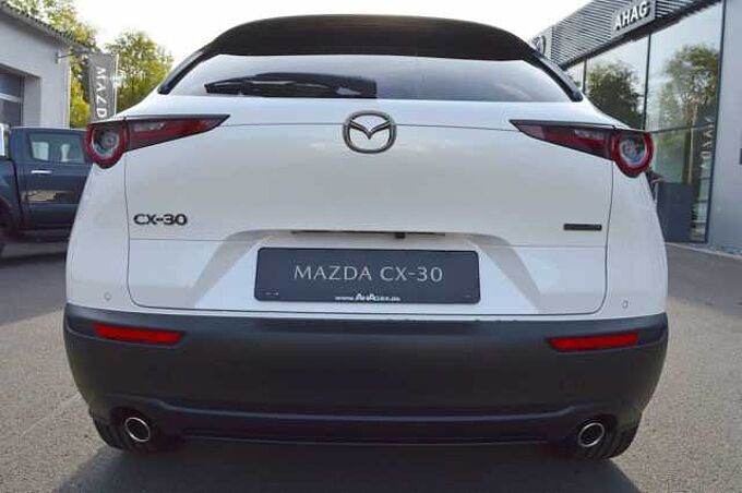 Mazda CX-30 2.5 e-SKYACTIV-G M-Hybrid Makoto *BOSE+LED*