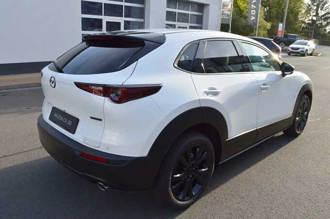 Mazda CX-30 2.5 e-SKYACTIV-G M-Hybrid Makoto *BOSE+LED*