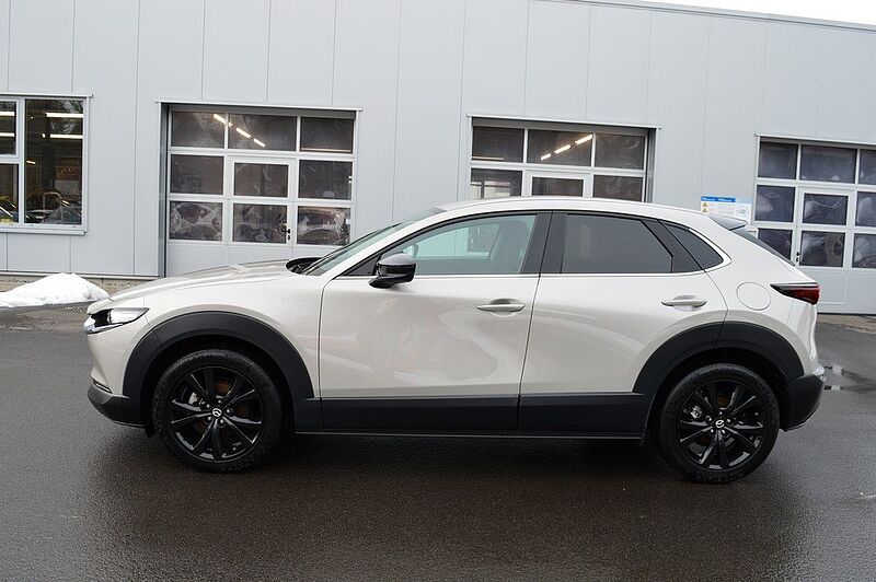 Mazda CX-30 2.0 e-SKYACTIV-G M-Hybrid Homura *AHK*
