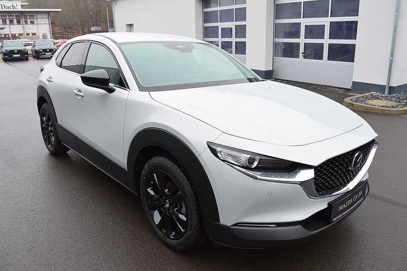 Mazda CX-30 2.5 e-SKYACTIV-G M-Hybrid Homura *LED+CAM+ACC*