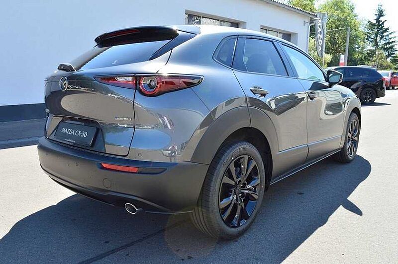 Mazda CX-30 2.5 e-SKYACTIV-G M-Hybrid Makoto *BOSE+LED*