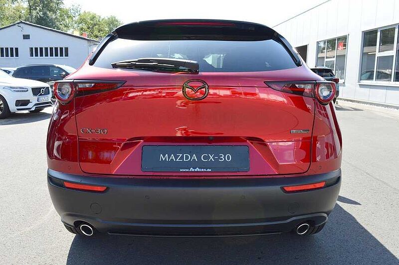 Mazda CX-30 2.5 e-SKYACTIV-G M-Hybrid Makoto *BOSE+LED*